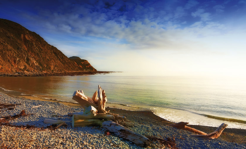 Strand van Wellington in Nieuw Zeeland 