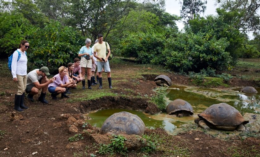 Turtle Ranch Galapagos