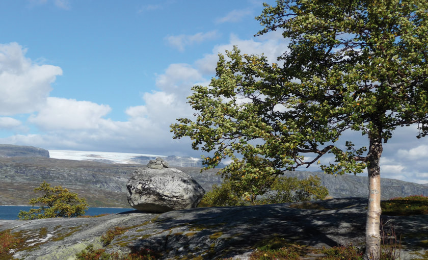 Zicht op het water in Eidfjord